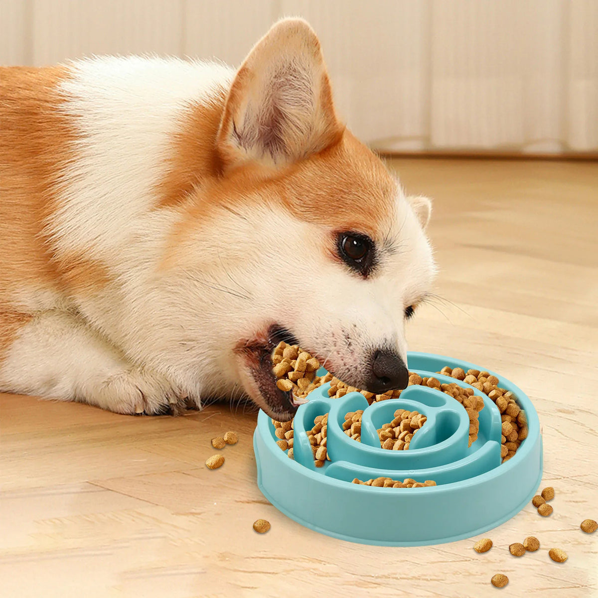 Premium Non-Slip Pet Feeding Bowl